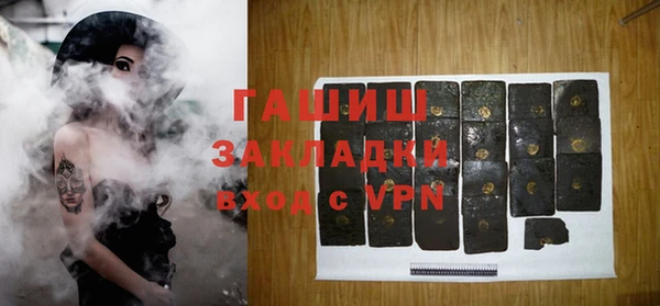 стаф Алзамай