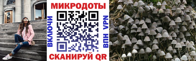 Галлюциногенные грибы прущие грибы  сколько стоит  Саров 