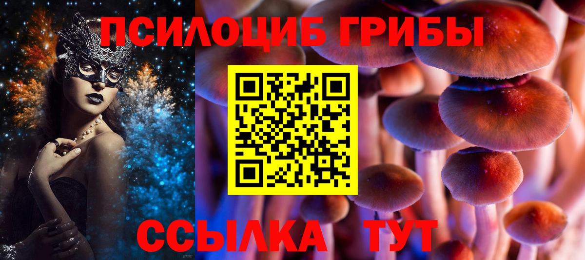 Галлюциногенные грибы Psilocybe Саров