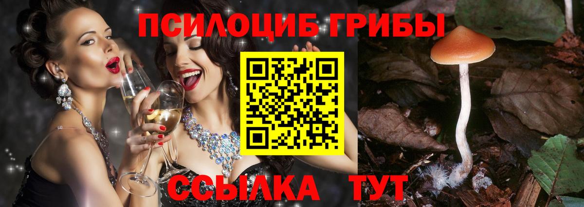Галлюциногенные грибы прущие грибы  Вход с VPN  Саров 